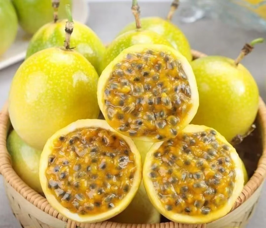 现摘钦蜜九号百黄金香果应季水果