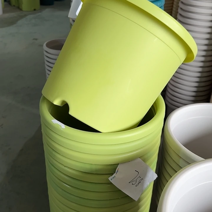 微瑕5#口径29果绿5个无托