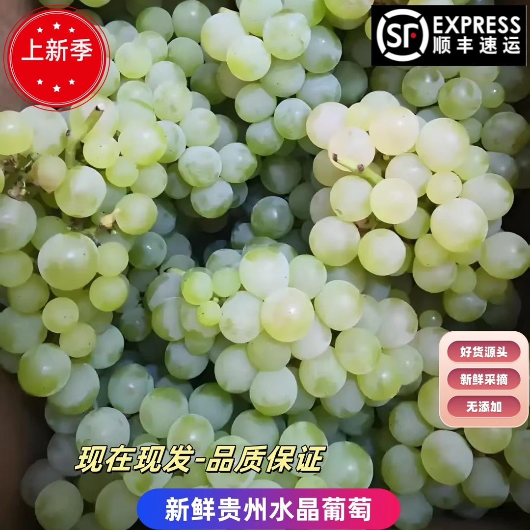 贵州本地水晶葡萄清甜多汁脆爽可口当季新鲜水果