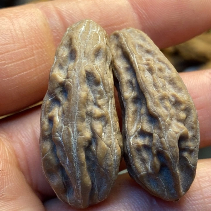 文玩核桃吊坠娜姐16