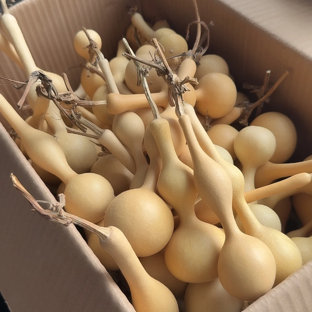 木挑出来的123366