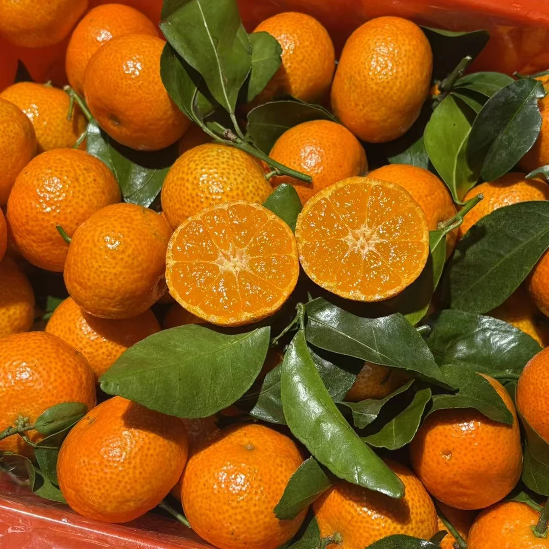 【砂糖橘筐装】纯甜 带框约5斤