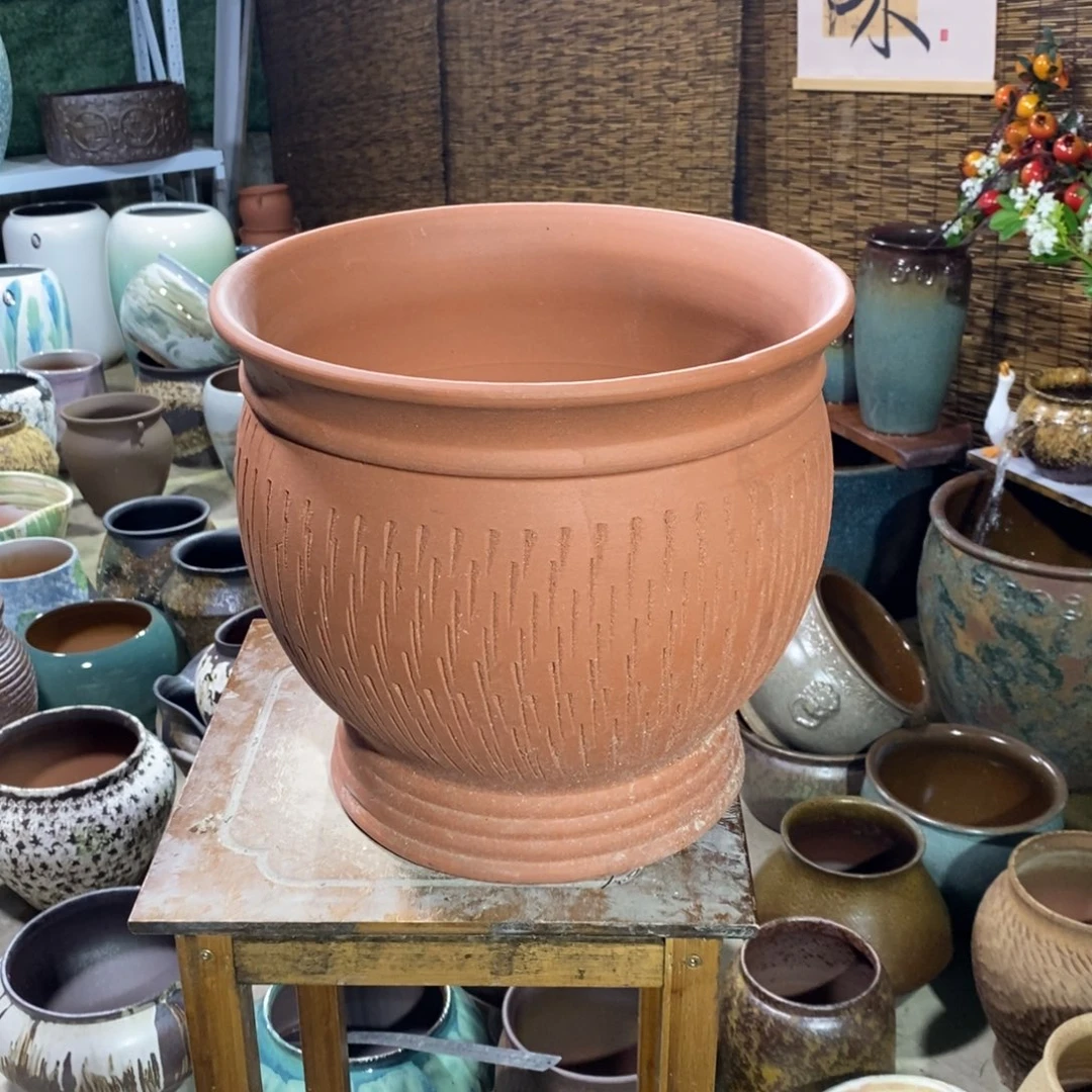 口31高29～～～～～～～～