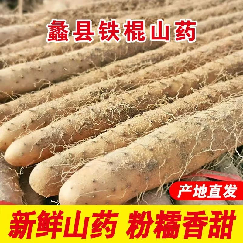 2025河北软糯香甜小白嘴山药产地新鲜现发发4.5斤