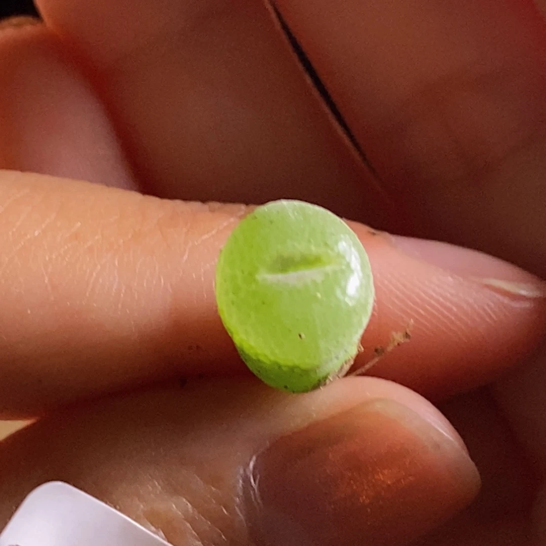 98/粉女98/粉女98/粉女