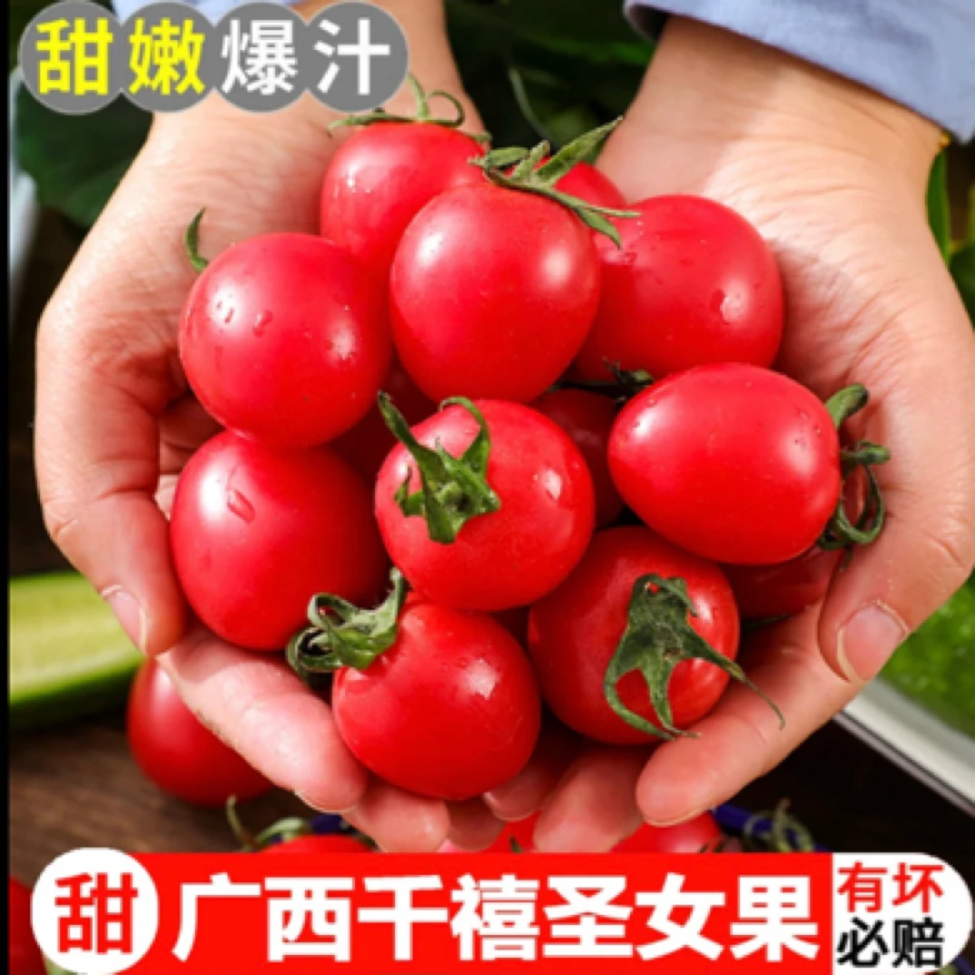 玲珑千禧小番茄【2.8斤】脆甜【如遇质量问题直接联系客服】