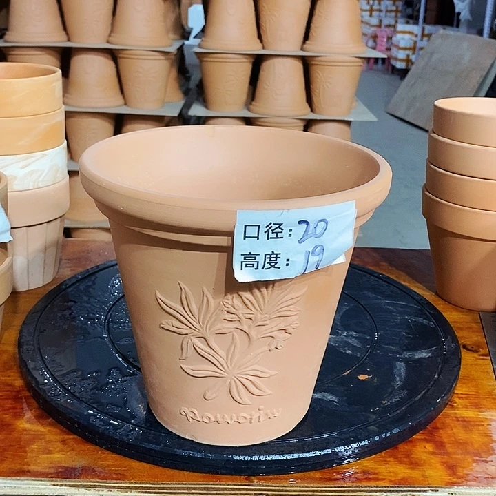 香草20×19-1