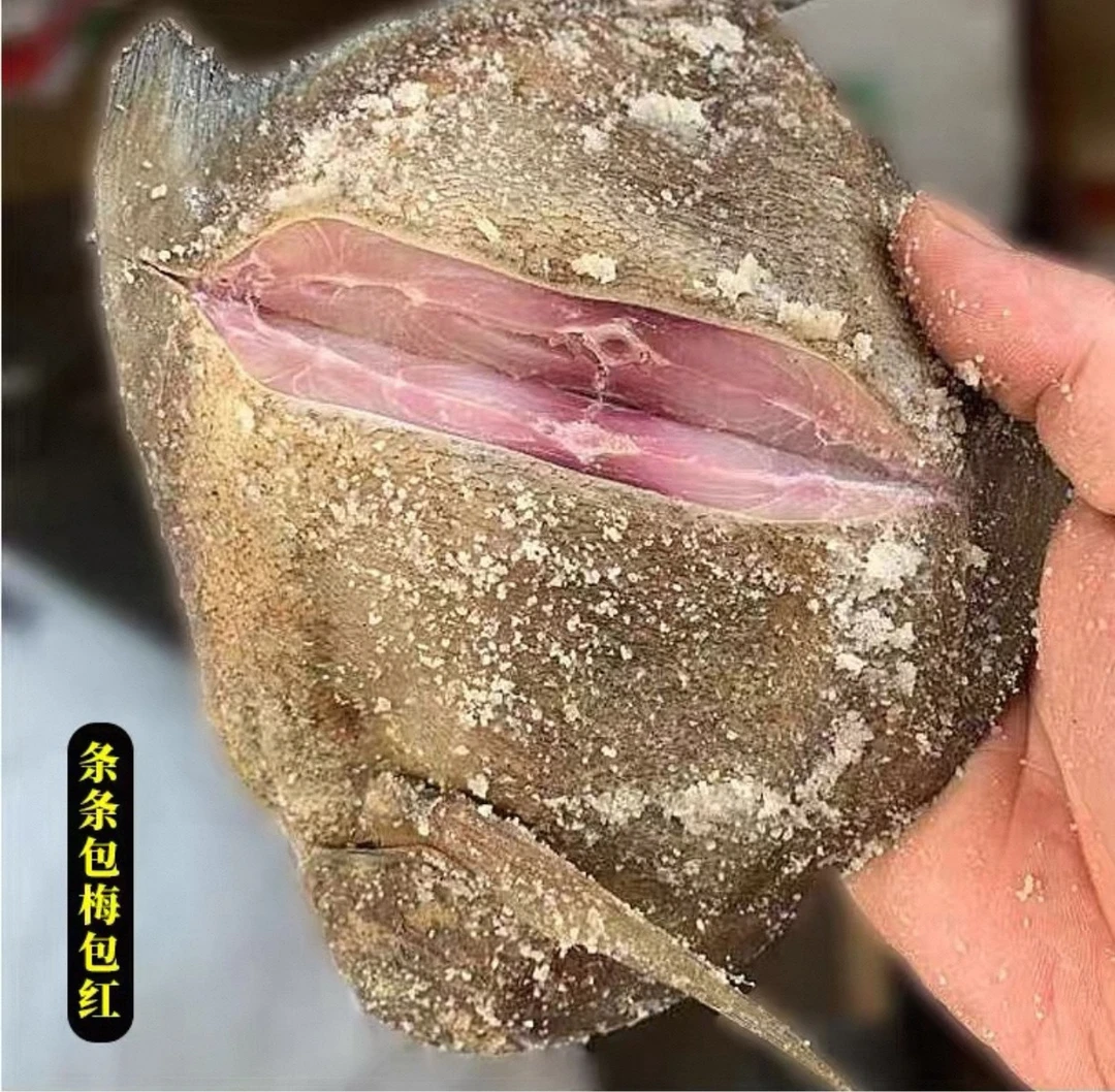 梅香 咸鱼咸鱼霉香仓鱼咸鱼茄子煲腌制咸鱼干