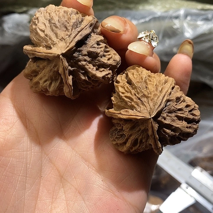 核桃云南野生铁核桃43斤39mm