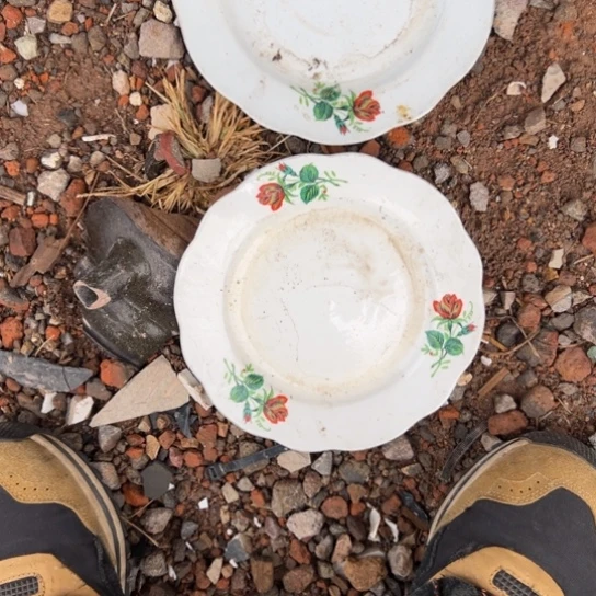 安***兰杂色豆（科檀/科特迪瓦檀木）