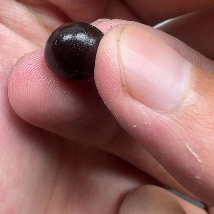 未镶嵌玛瑙/玉髓珠宝半成品x17