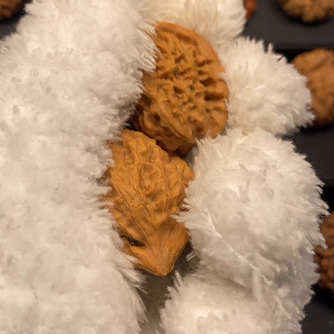 Z*秦岭森林中发现两条蛇