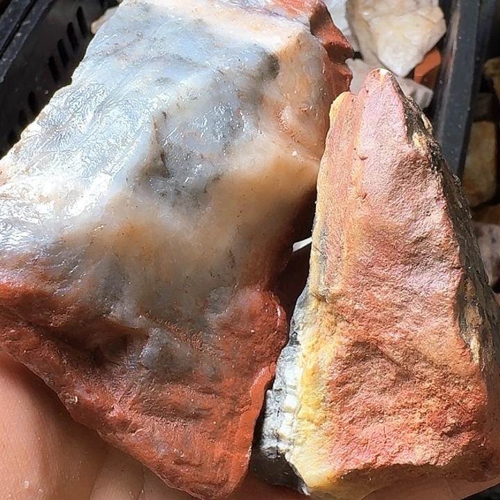 书***。寿山石寿山石的种类