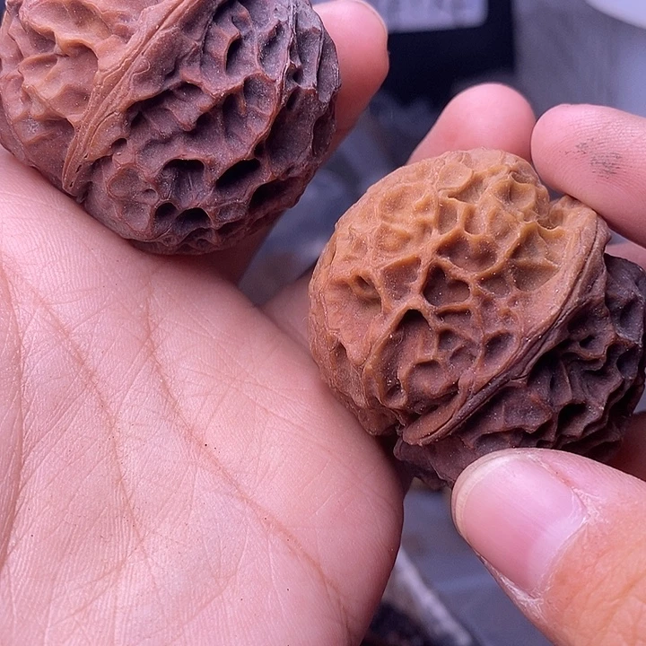 文玩核桃把件   244