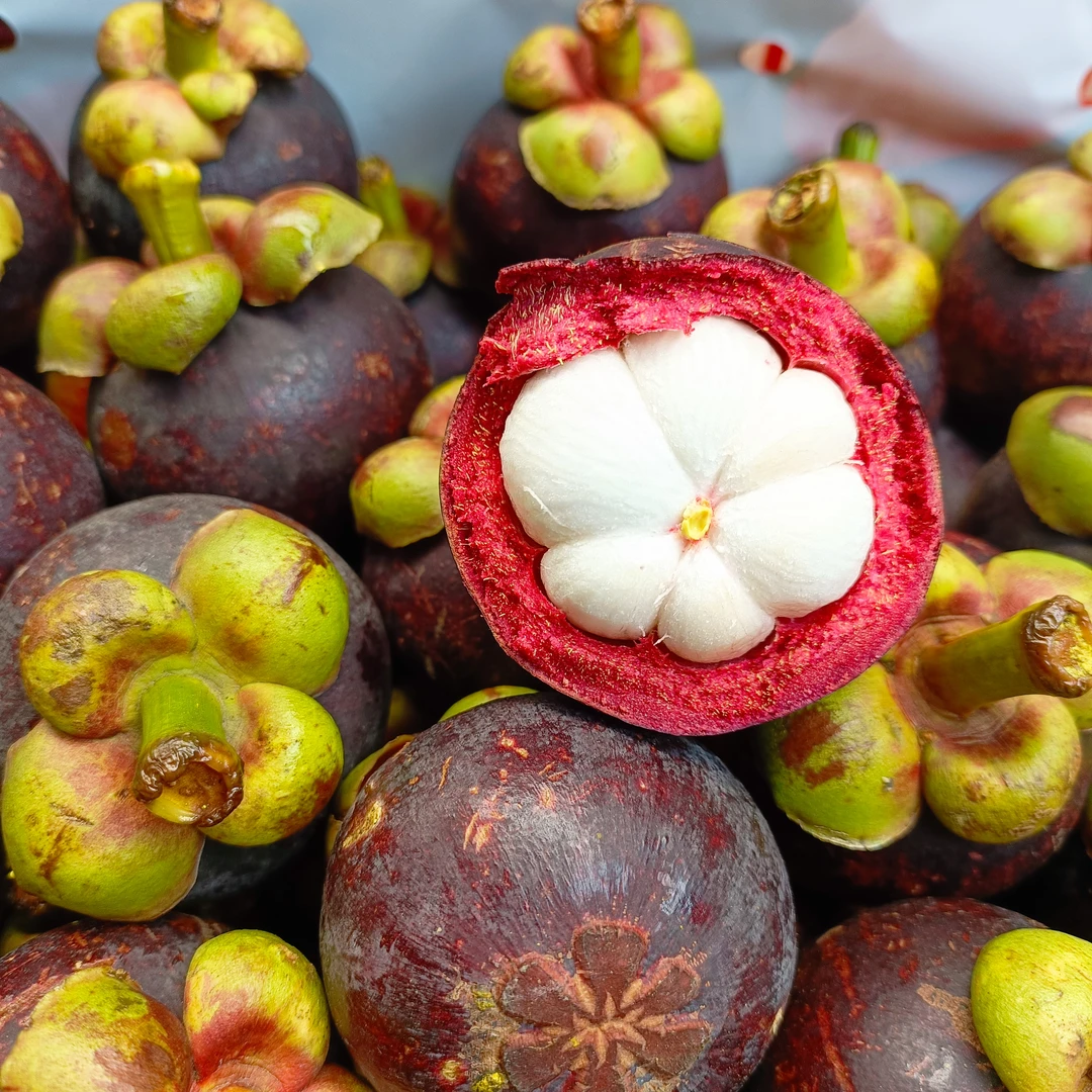 空运山竹1500-2500克新鲜