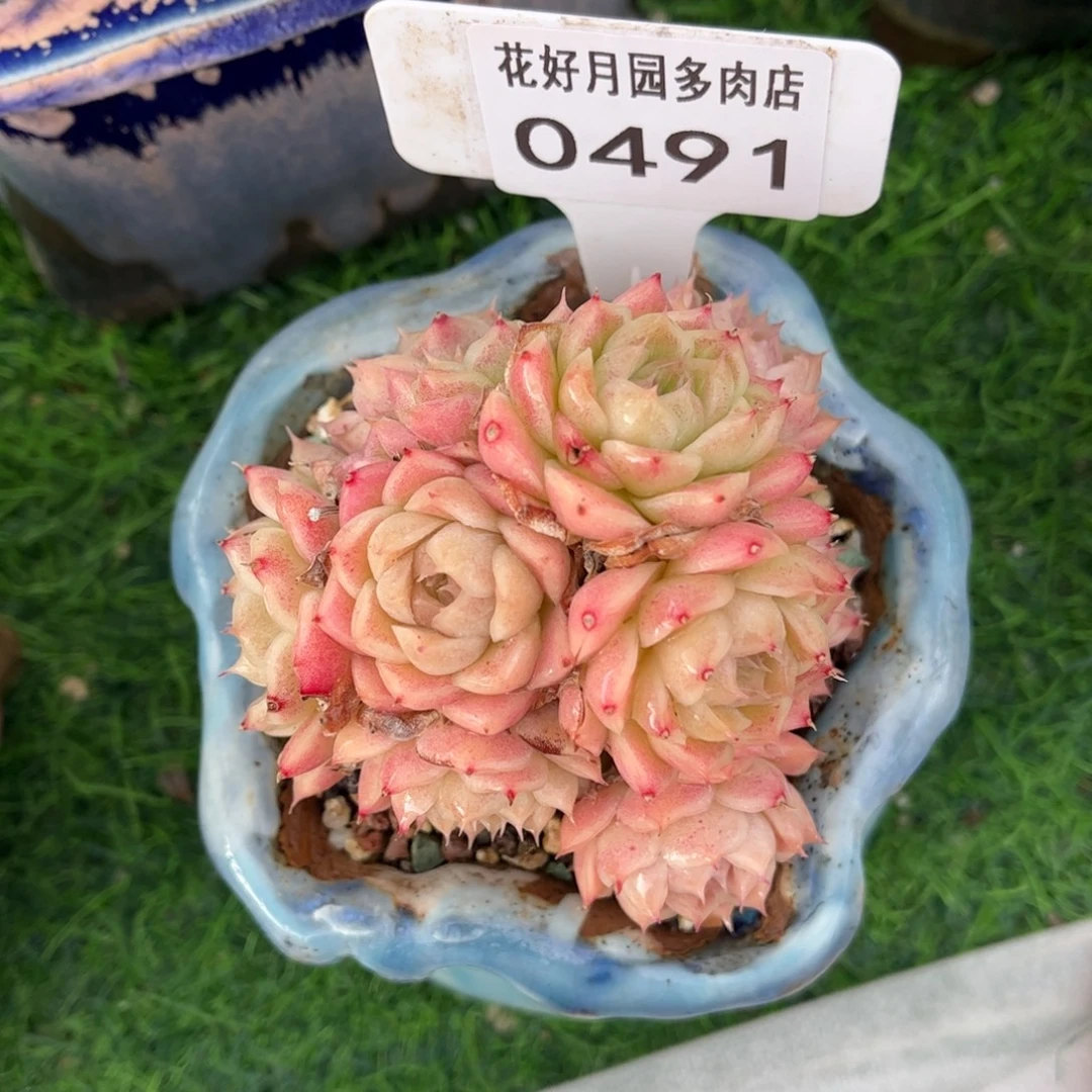 0491 满30包邮天冷地区必拍保温箱