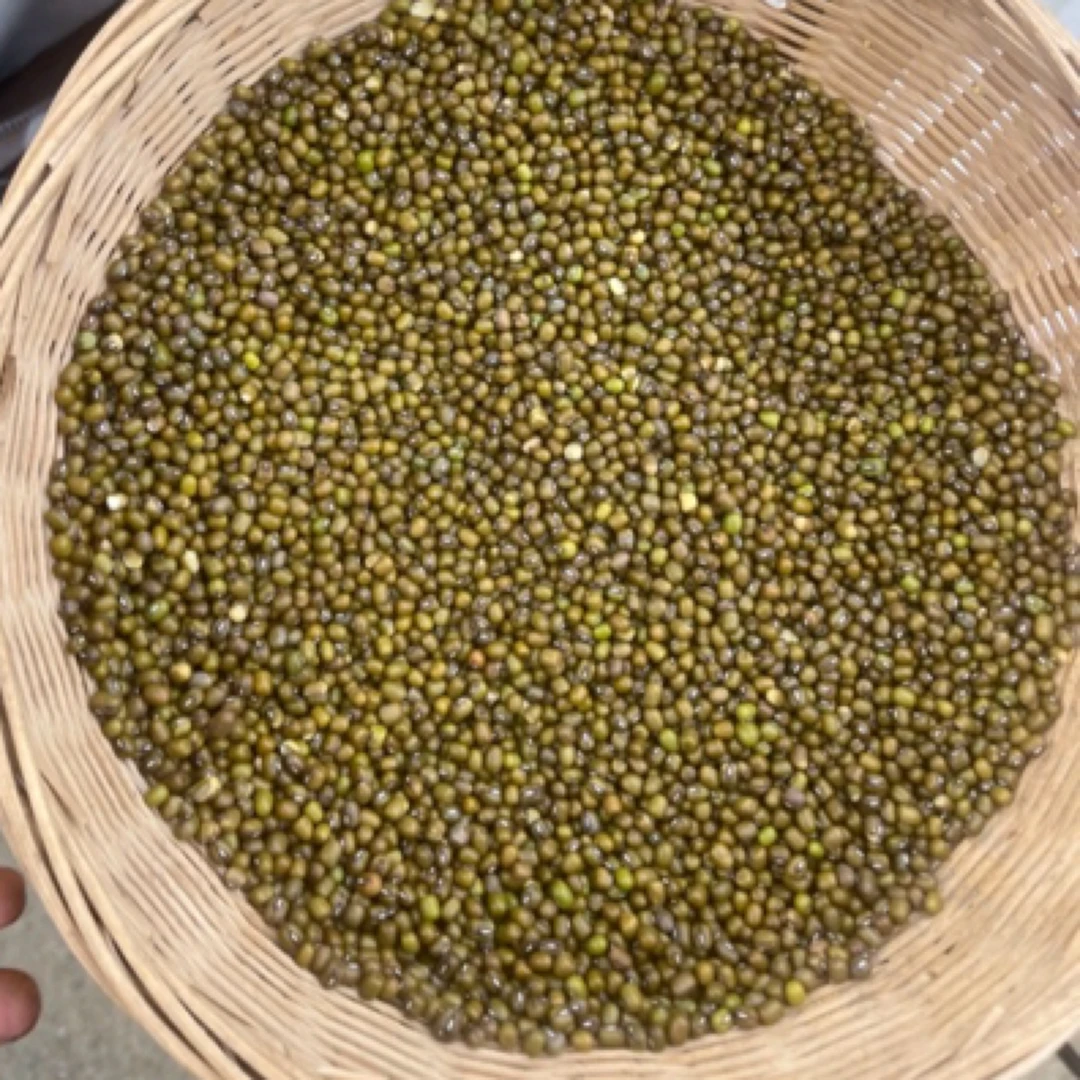 A农家绿豆可搭配青色糙米健身代餐粗粮五谷杂粮