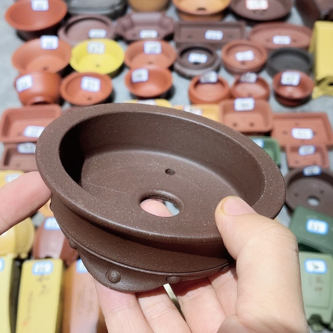 紫砂小盆9.5*2.5cm