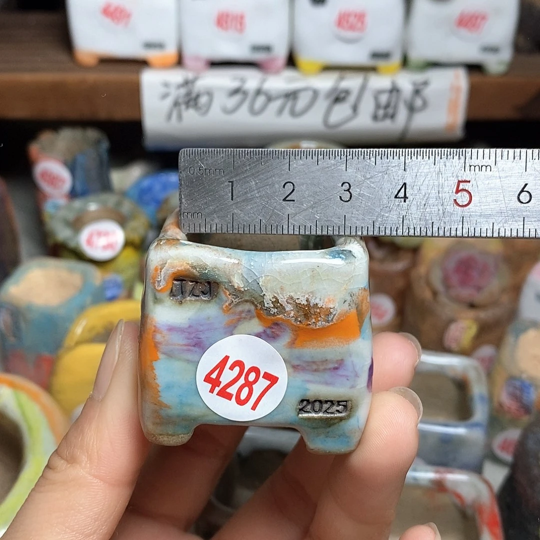 红陶草****们拍5送一个小