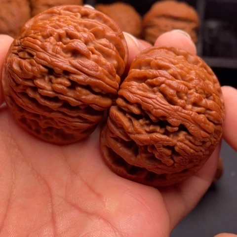 文玩核桃把件秦岭山脉核桃