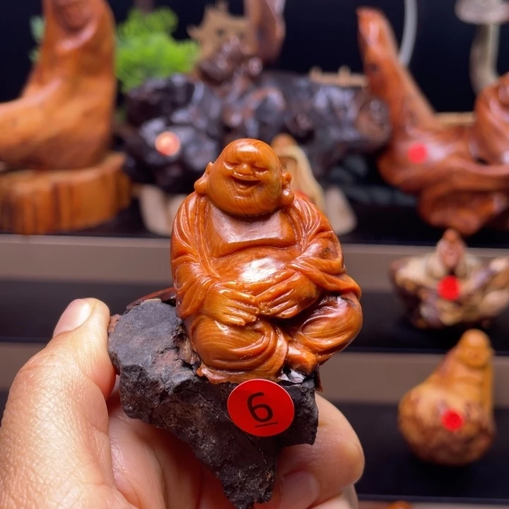 柏木无**雨2222222222222222222