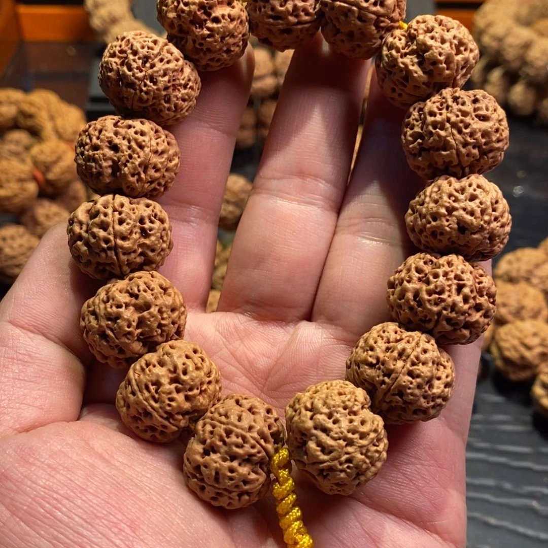 金刚菩提手串?**龙小玄武