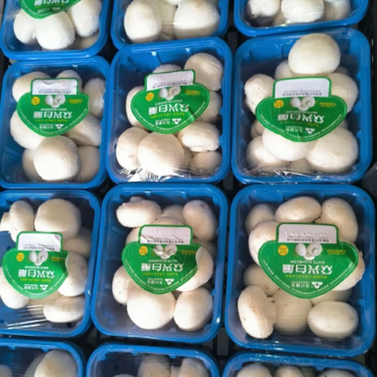 新鲜盒装圆菇230克菌子