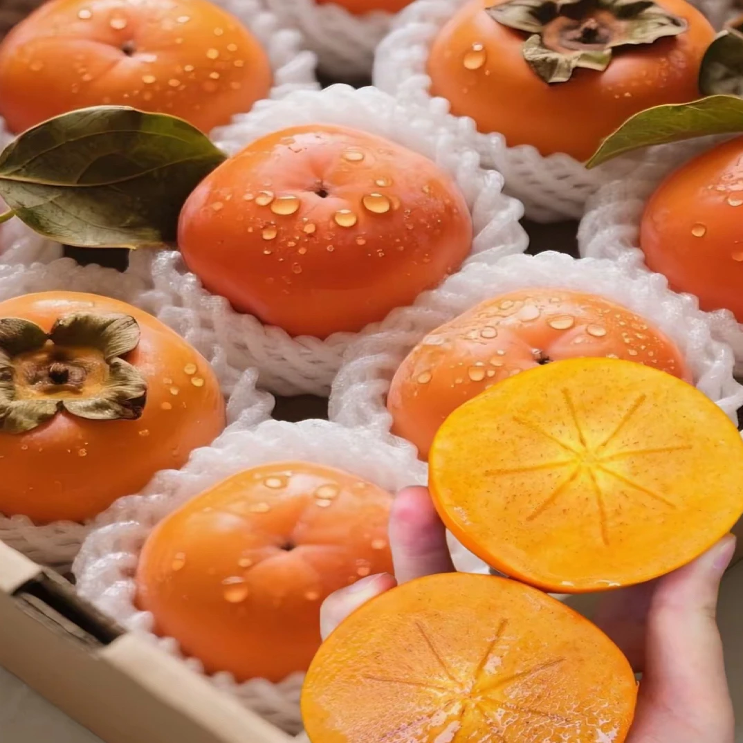 云南保山甜脆应季脆甜水果现摘现柿子青柿子皮薄多肉新鲜脆甜水果