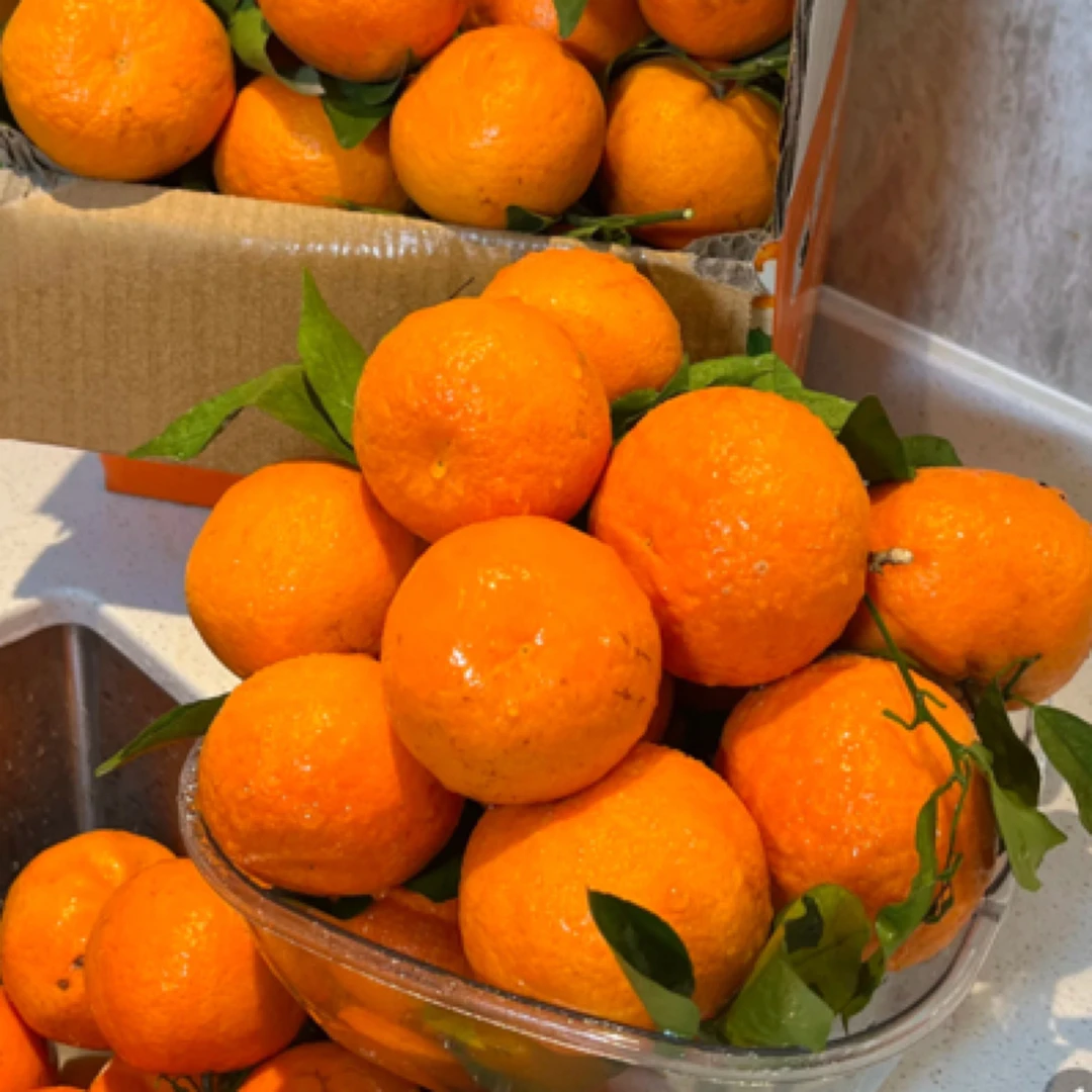纯甜带叶沃柑橘一份（3斤）脐橙布基纳法索