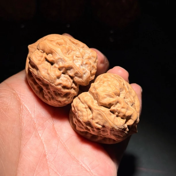 810无修三角蛙文玩核桃红皮山地果实物拍摄尺寸:边39肚43高36