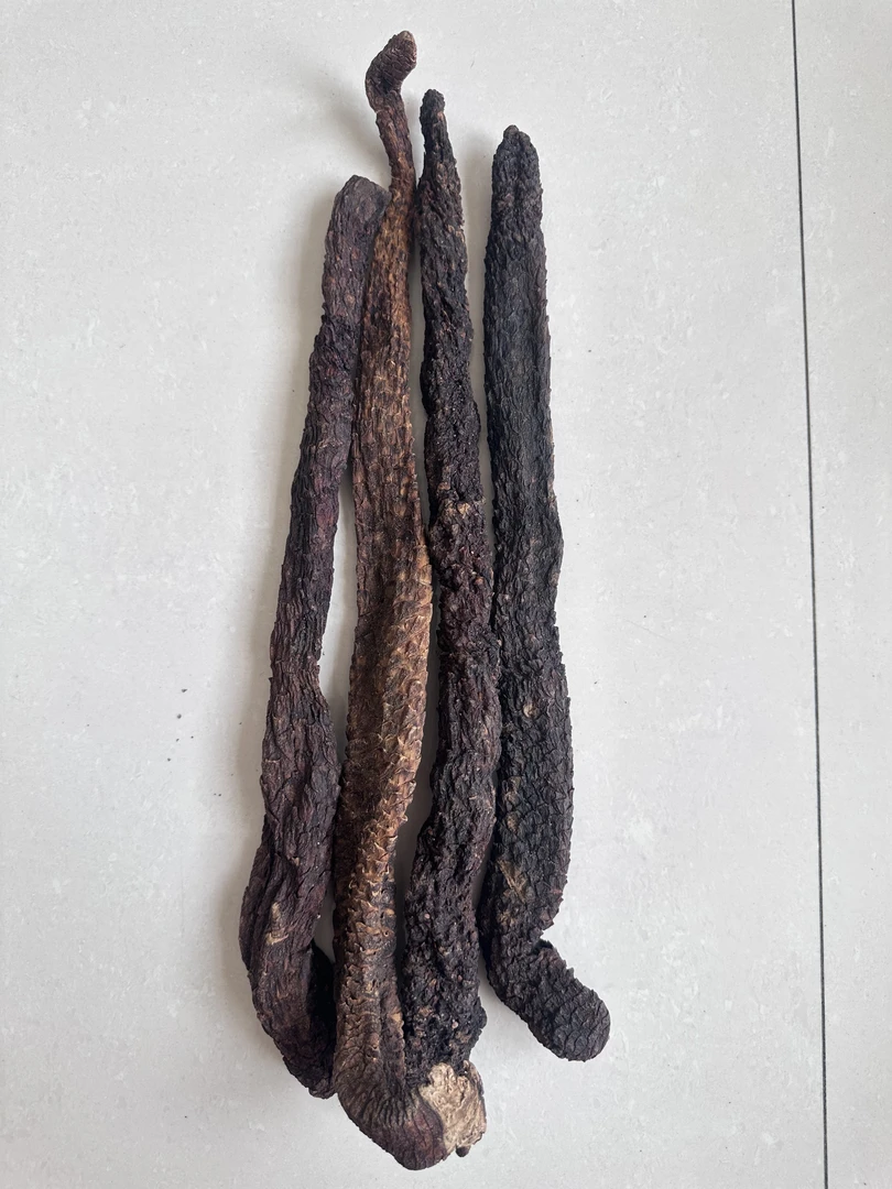 内蒙古阿拉善肉崧蓉整根发货