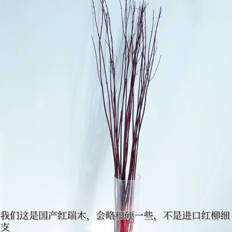 【国产红瑞木】鲜枝室内落地耐寒懒人好养水培年宵花遇水发芽