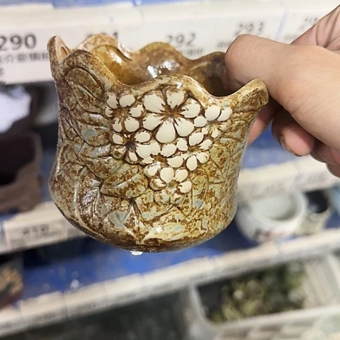 ·当场直播凑9发·慎拍·全是福利·291