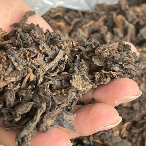 2018年冰岛糯伍熟茶头