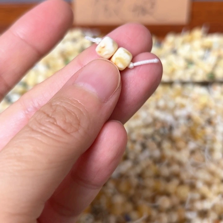 蜜蜡未镶嵌裸石6.5mm一对