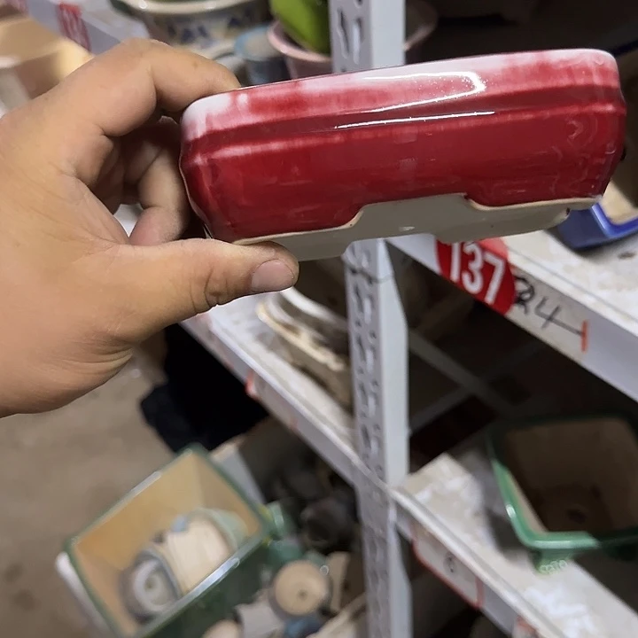 一些有实力却被称为天才画家或