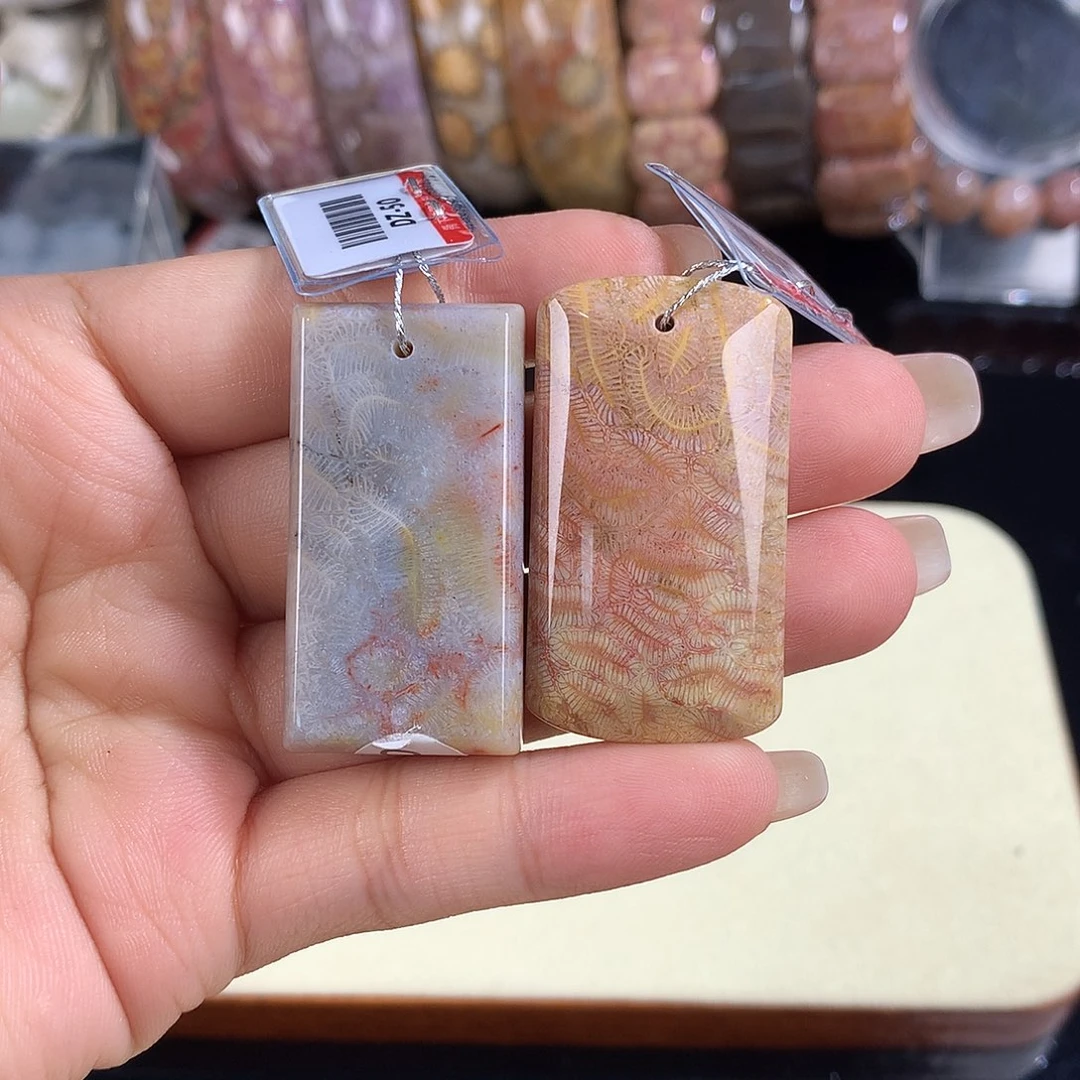 硅化珊瑚（珊瑚玉）未镶嵌吊坠(赠链)10号上新50米一个可挑