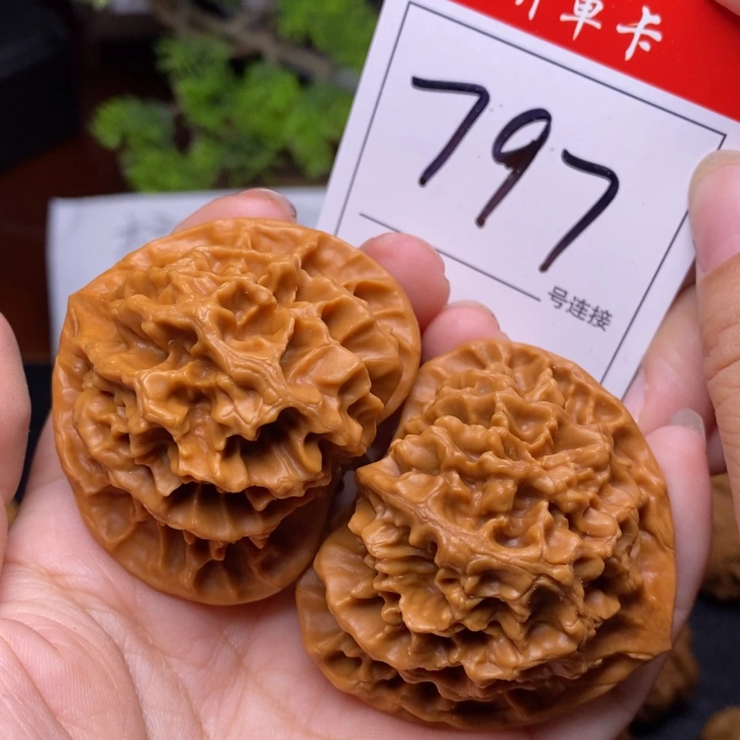 文玩核桃把件797帝王5.0