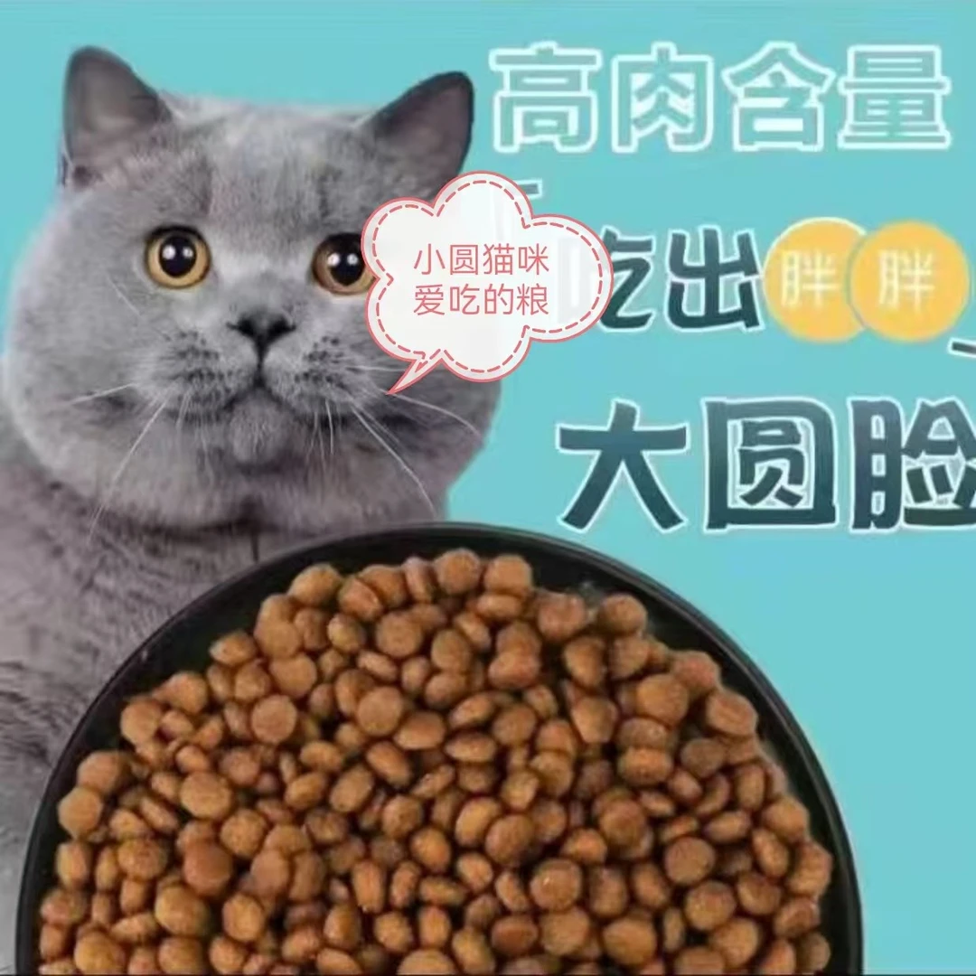 猫咪爱吃的猫粮 全价通用猫粮