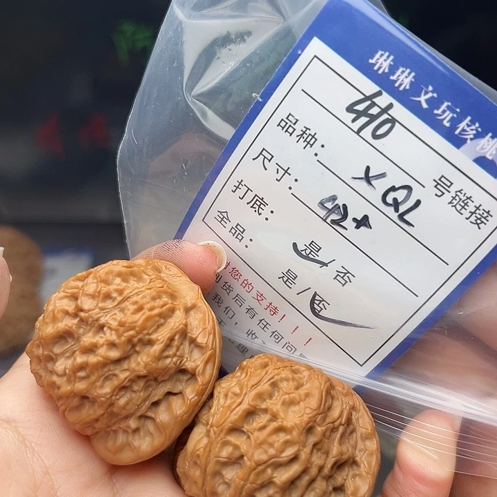 文玩核桃吊坠核桃树410