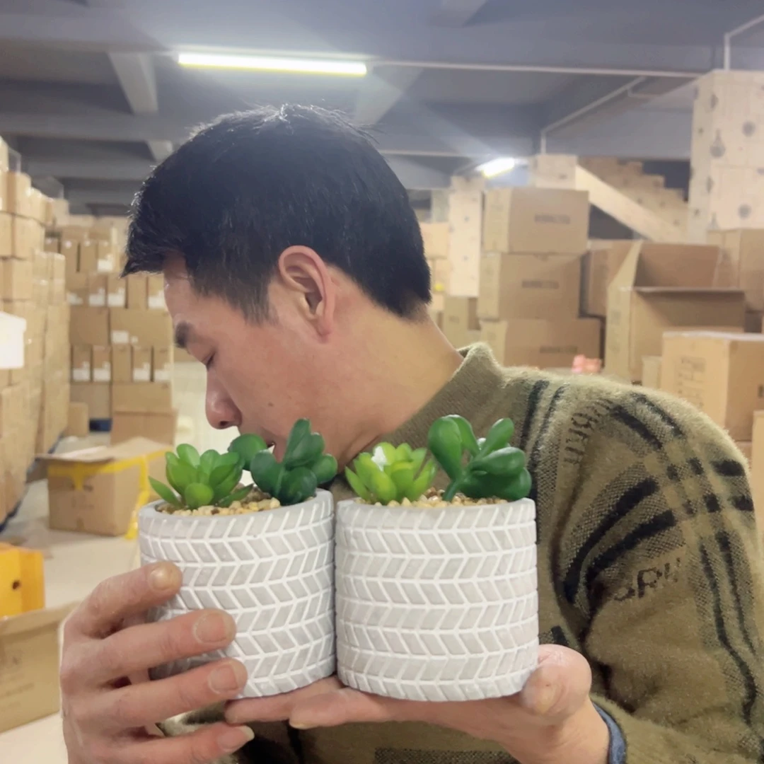 陶红陶红陶陶中号小绿植