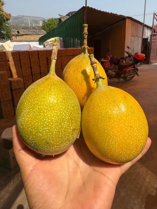 临沧热情果头茬大果高香高甜(自带花香)