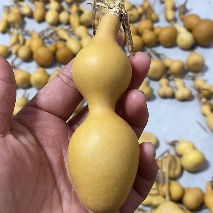 葫芦的颜色很漂亮