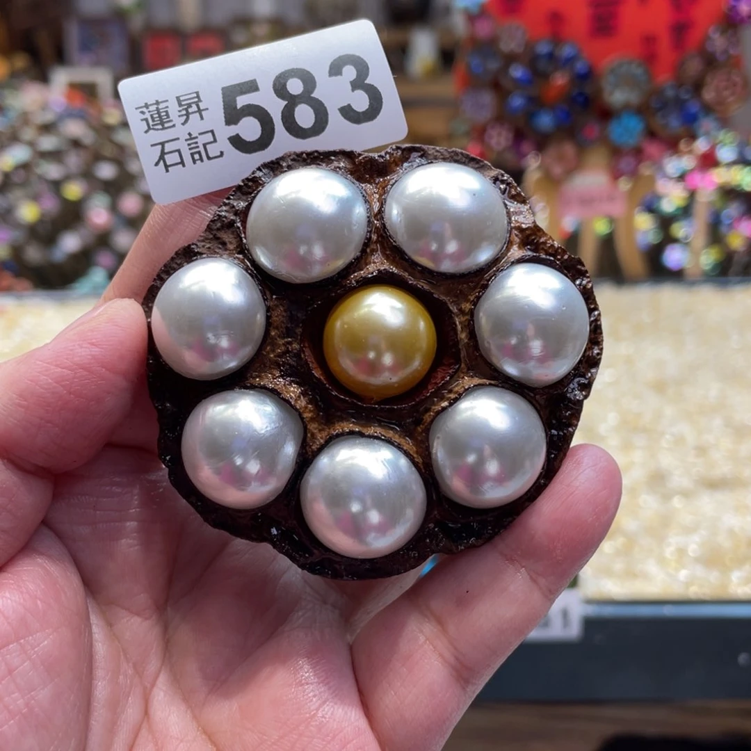 核桃木/黑胡桃（胡桃木）583