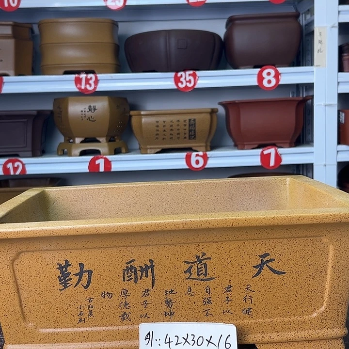 紫砂花盆你在一起