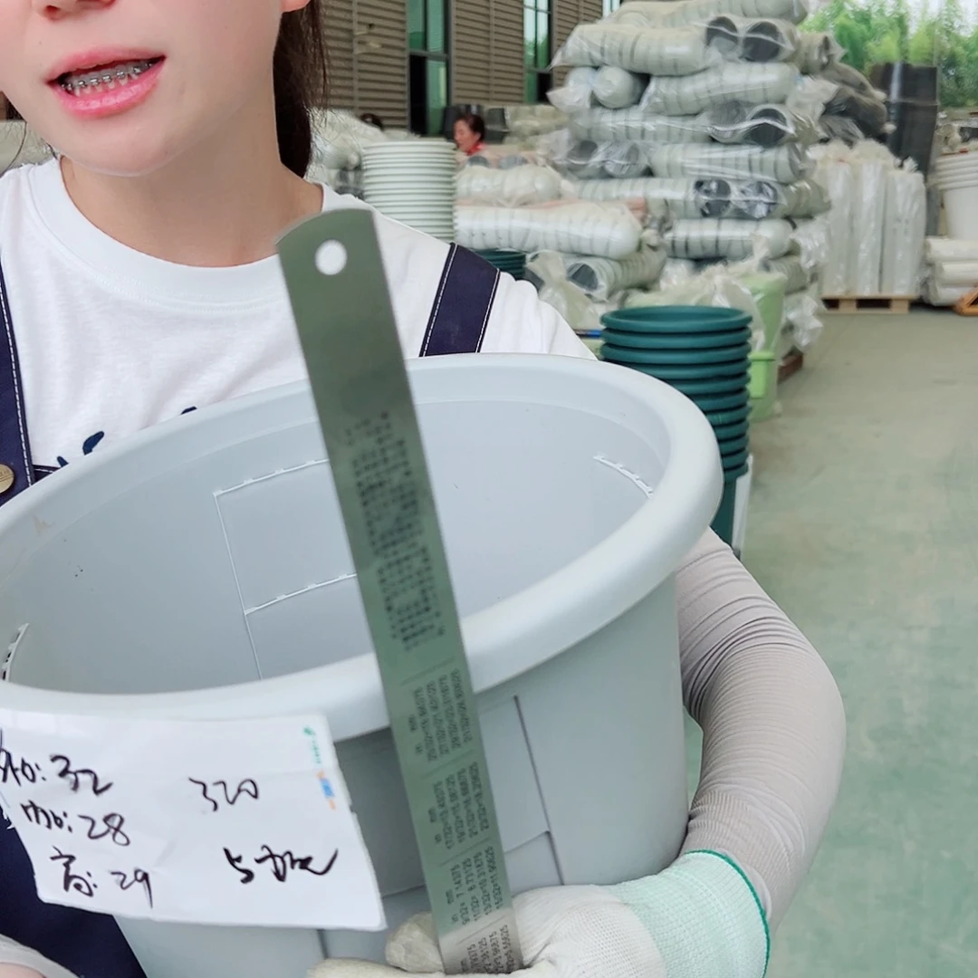 玫瑰盆320#灰白5个无托