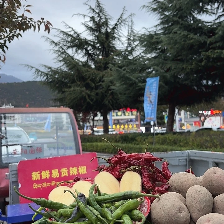 中国大陆西藏易贡辣椒