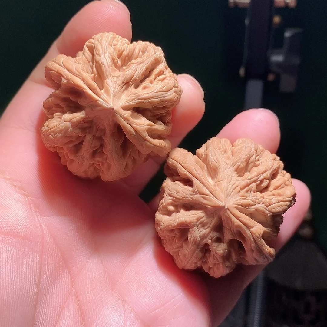 文玩核桃把件42八筋聚顶大粗筋全品