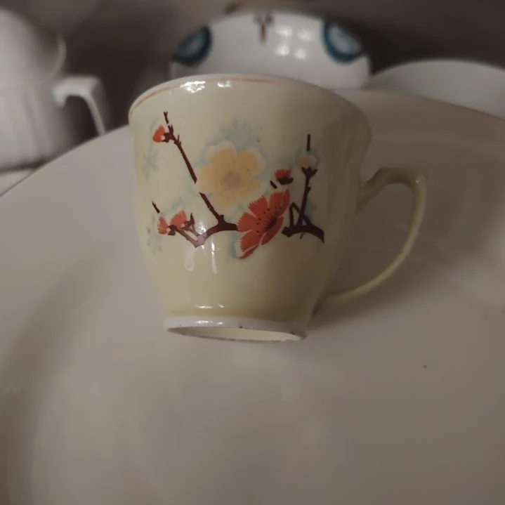 瓷片陶瓷盘子碗啥都有