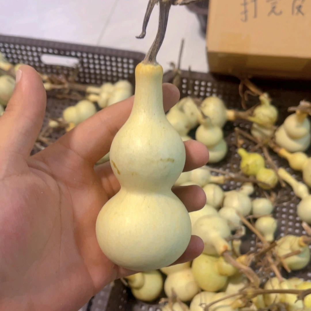****࿐感谢大哥支持兄弟，不保成